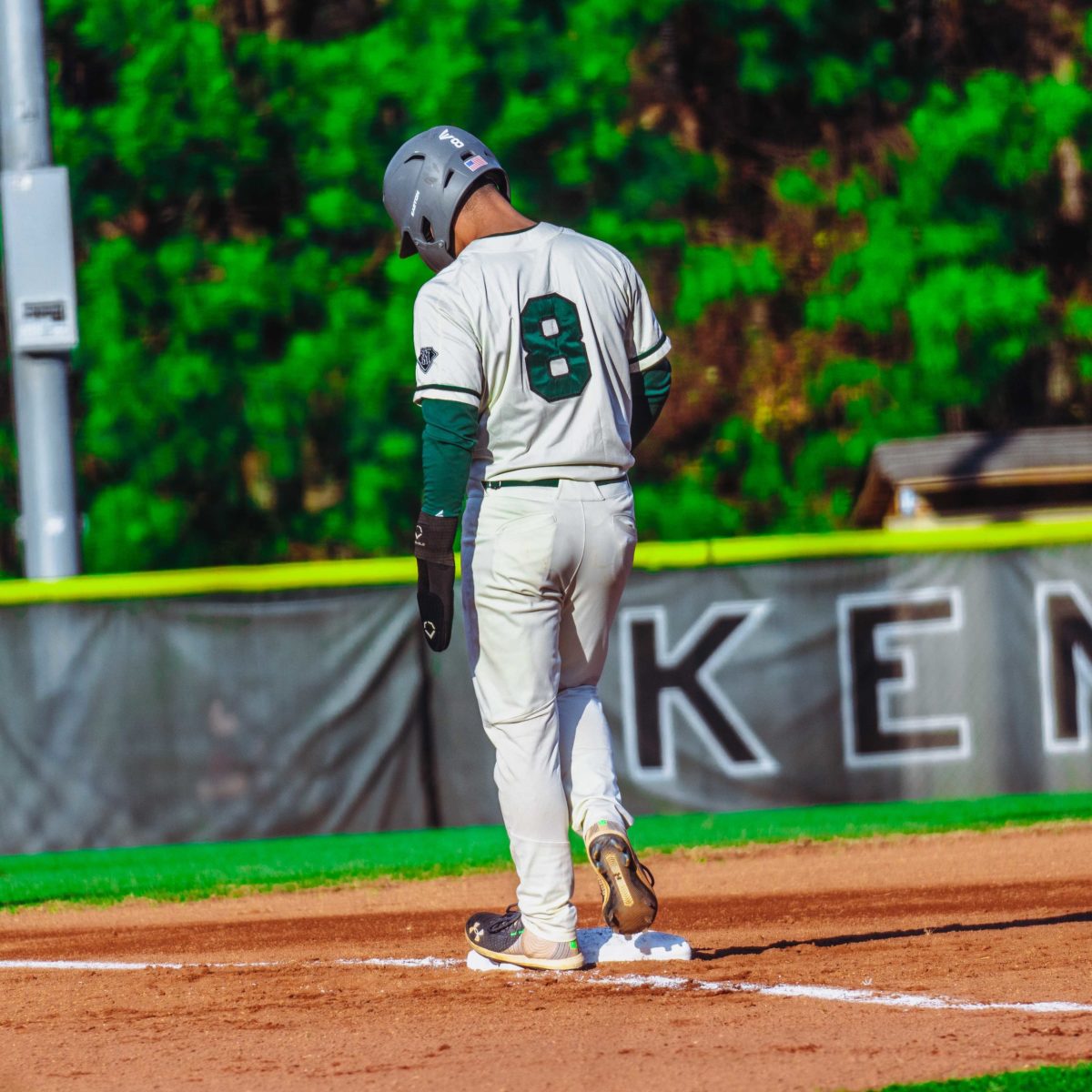 Willie_Prince_Kennesaw_Mountain_baseball.6